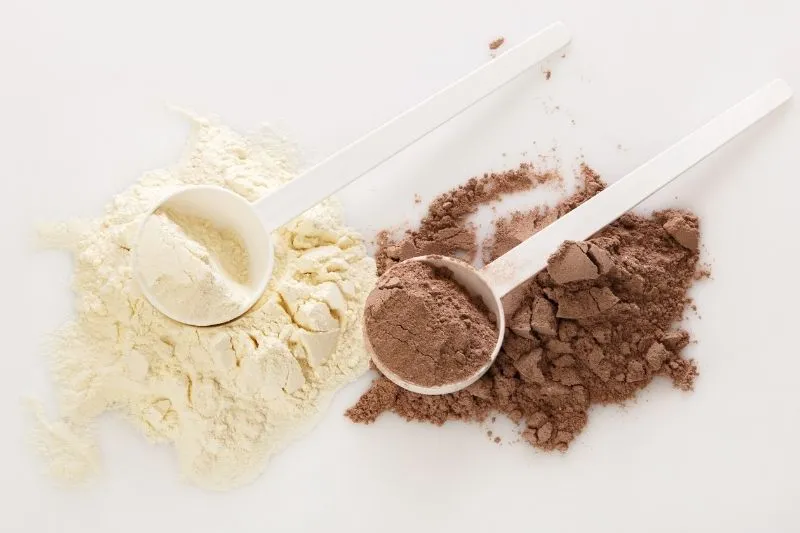 protein tozu çeşitleri